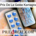 Prix De La Gelée Kamagra 39